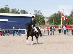 IMG_8013_web